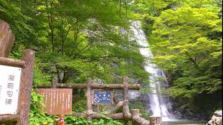 【4K】箕面大滝を眺める1時間 / 1 hour to see Minoh Falls 【環境音,自然音,リラックス,勉強,癒し,集中,作業,瞑想】