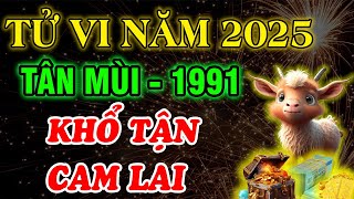 Luận Giải Chi Tiết: Tử Vi Năm 2025, Tuổi Tân Mùi 1991, Khổ Tận Cam Lai, Giàu Đậm Nếu biết 3 điều này