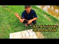 Memancing Di port baru #gengdunia #fishing