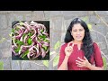 red onions vs white onions health benefits 🧅 తెల్ల ఉల్లి ఎర్ర ఉల్లి ఏది ఆరోగ్యానికి మంచిది ఎం తినాలి