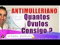 Hormônio Antimülleriano - Quantos Óvulos Consigo ?