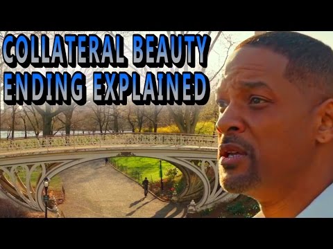 What is the plot of collateral beauty?