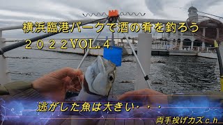 横浜臨港パークで酒の肴を釣ろう２０２２VOL.4逃がした魚は大きい