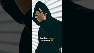 Mega Data Breach 1 Billion People