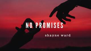 Shayne Ward - No Promise Lyric