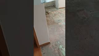 싱크대누수로변색된 마루보수-마루미(MARUMI : Replacing Wood Floor Damaged by Water Overflow from Sink Drain)