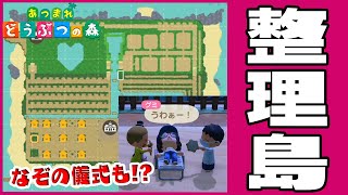 マイデザなしで超キレイ！【きっちり整理整頓された島が凄かった】あつまれどうぶつの森実況　#22