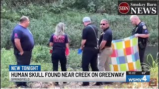 Young boy finds human skull near creek on Springfield Greenway