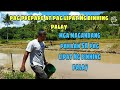 farming,pag prepare at paglipat Ng binhing palay.part3