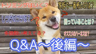 【柴犬】犬についてシバについてなどQ\u0026A質問に答えます～後編～（しゃべる犬）