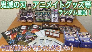 【鬼滅の刃】ランダム開封！今回は絶対カナヲちゃんが欲しい！ステンドグラスカード、下敷きコレクション、サンシャインシティコラボ【グッズ開封】【きめつのやいば】【映画】ガチャ