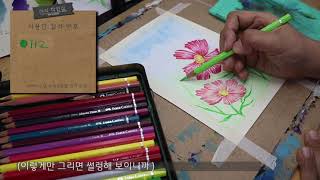 그림 같이 그려요 - #코스모스- 001-수성색연필 / Drawing with me -#Cosmos-001-Water Colorpencil /