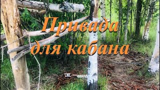 Привада на кабана