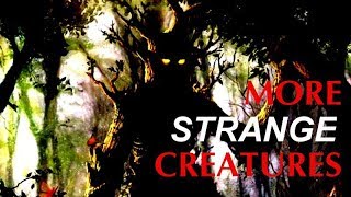 'More Strange Creatures' | Paranormal Stories