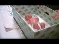 Cardboard baby boxes could allow safe sleep for babies