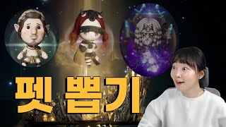 오딘, 펫 뽑기 나왔다! 먹이까지 줘야해