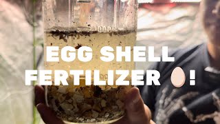 Ep.17- Using Egg Shells To Fertilize The Garden!