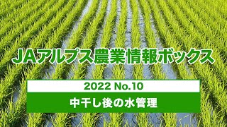 JAアルプス農業情報ボックス2022 NO.10 中干し後の水管理