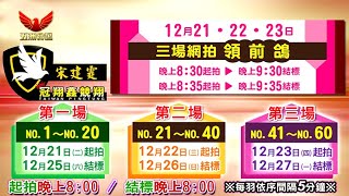 五洲網拍嚴選～冠翔鑫競翔 宋建霆 6羽優質精選領前鴿＆60羽特作嚴選網拍鴿