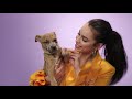 Sofia Carson Plays With Puppies While Answering Fan Questions