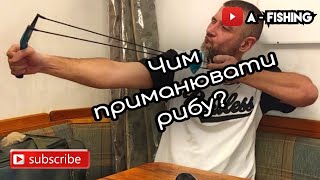 Засоби закорму риби на рибалці 🎣 Рибалка з нуля #2