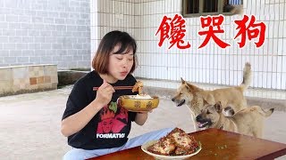 秋妹今天吃獨食，在家做東坡肘子，好吃到骨頭都不放過，看餓了【顏美食】