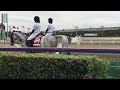 2018.10.3 船橋🐎1r 誘導馬 タカラブリランテ タカラスノーウェーブ