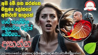 අන්තඃ කල්ප විනාශයට පෙර මාර පාක්ෂික බලවේග වලට හසු නොවී පරලොව සුගතිගාමී කරගැනීමට අහන්න… |@_VISHUDDHA