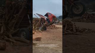 Timber airborne: The thrilling moment of unloading a tricycle