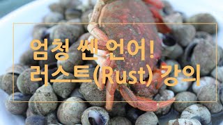 엄청 쎈 언어! 러스트(Rust) 강의 2 -러스트 변수의 불변성, 상수와 shadowing