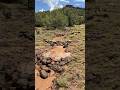 Restoring Groundwater w/ Check Dams at my Off-Grid Property in Northern Arizona…