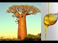 Health Benefits of Baobab Oil