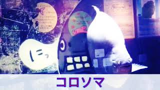 息子制作　生き物動画「コロソマ」