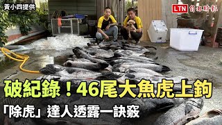 破紀錄！日月潭46尾大魚虎上鉤 「除虎」達人透露一訣竅（黃小四提供）