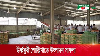 দেশের পোল্ট্রিখাতে ঊর্ধ্বমুখী উৎপাদন সাফল্য