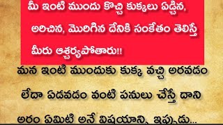 మీ ఇంటి ముందు కుక్క వచ్చి మొరిగిన, అరిచినా దాని అర్థం ఏమిటో తెలిస్తే ఆశ్చర్యపోతారు | ధర్మసందేహాలు