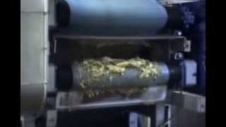 Seepex Progressive Cavity Pumps - Apples