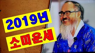 2019년 소띠토정비결 운세-사업운,거래운,애정운,취직운,이사운?당신만 모르는 대박나는 비결 따로 있다