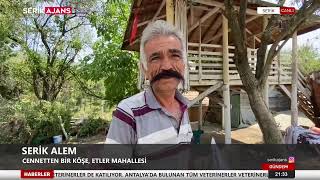 SERİK ALEM