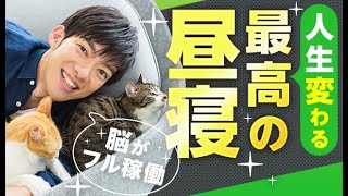 明日から人生変わる最高の昼寝【何分を週何回するといいのか】