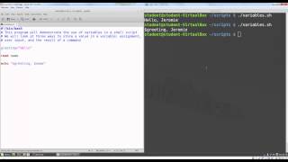 Video 3 - Variables