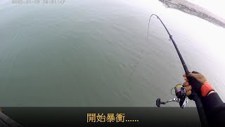 黑熊釣黑鯛(格)-20200105 布袋南堤蚵棚棚釣(終於遇到傳說中的小咬一波-下集)|黑格|黑牛|鯛魚