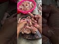 Cara mudah pisah ampela ayam #shortvideo #chicken