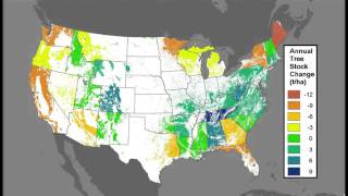 Bioenergy in the CPP Webinar:  C Accounting