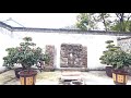 4k⁶⁰walking in hexin garden walking in shanghai shanghai street view