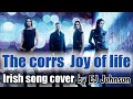 THE CORRS -JOY OF LIFE - IRISH SONG COVER MUSIC BY - EJ JOHNSON - ft DURAI SRINIVASAN