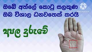 අත්ලේ කොටු සලකුණ ඔබ ධනවතෙක් කරයි,ඔබව ආරක්ෂා කරයි.