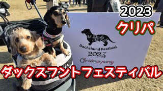 ダックスフントフェスティバル2023クリパを全力で楽しんだ【ミニチュアダックスフンド】dachshund