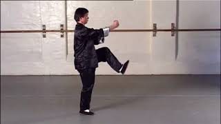 Wing Chun Arrow Punch Form For Reality Combat