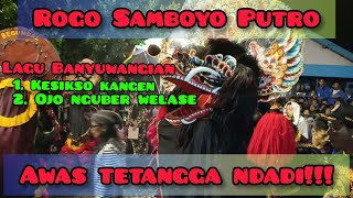 Cek Sound Jaranan - Samboyo Putro || Lagu Banyuwangian || asli glerr🔊